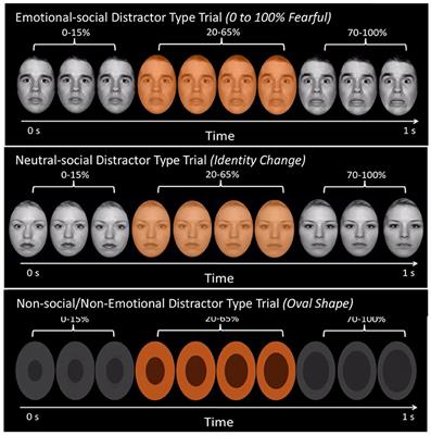 Age-Related Developmental and Individual Differences in the Influence of Social and Non-social Distractors on Cognitive Performance